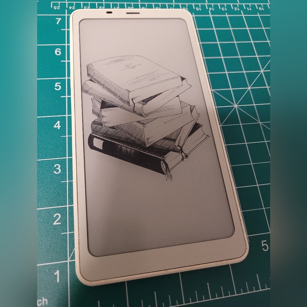 Boox Palma (Pocket eInk Reader)